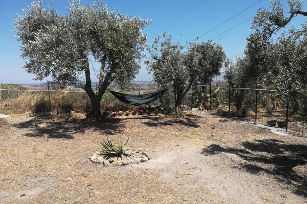 Villa Emma Con Panorama Etna A 10 Minuti Dal Mare Lentini Exterior photo